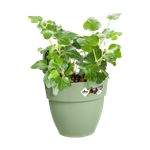 vibia campana easy hanger small vert pistache